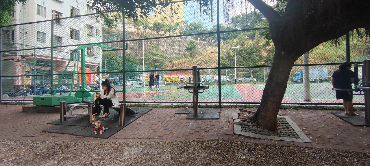 杨美法治广场设计方案