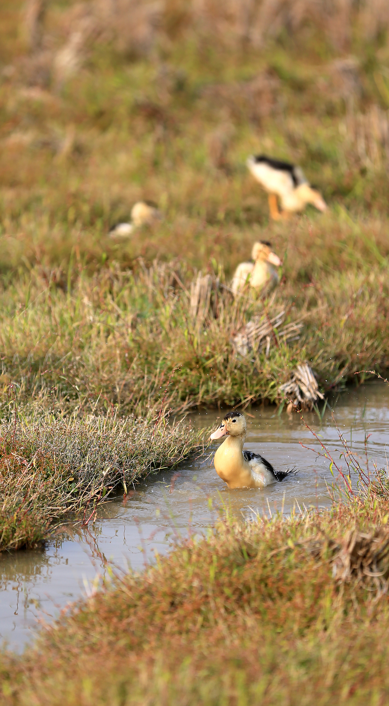 仙姑风景区随记（图ZMzMzMzM3MjEy） - 风光摄影 - 站酷设计师愚者猫叔原创素材 - 站酷ZCOOL