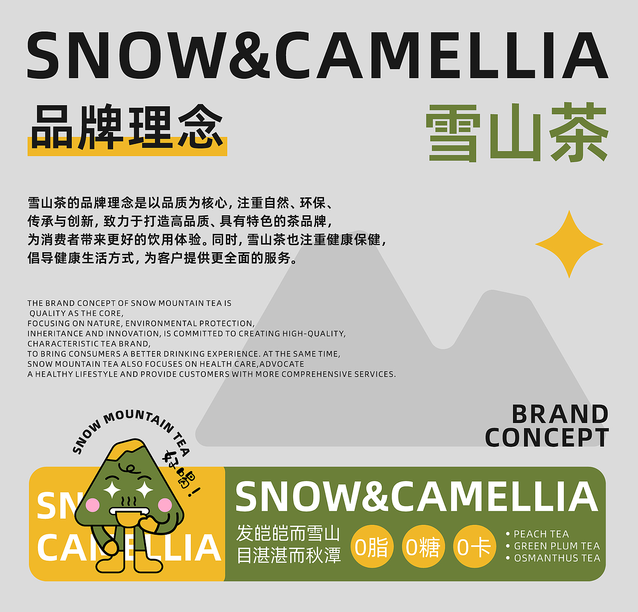 Snow camellia | 雪山茶品牌设计
