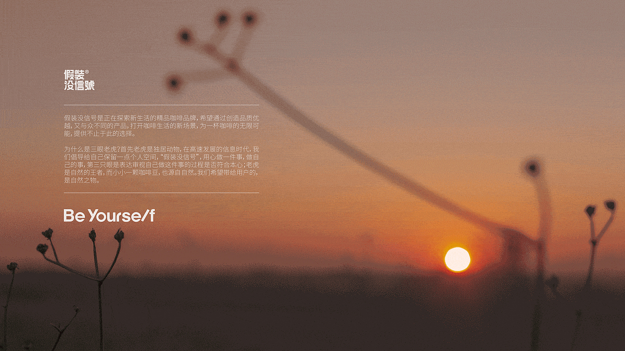 假装没信号 X 大于等于 ∣ 咖啡品牌&包装设计(图ZMzEyOTA1ODYw) - 品牌 - 站酷设计师大于等于品牌设计原创素材 - 站酷ZCOOL