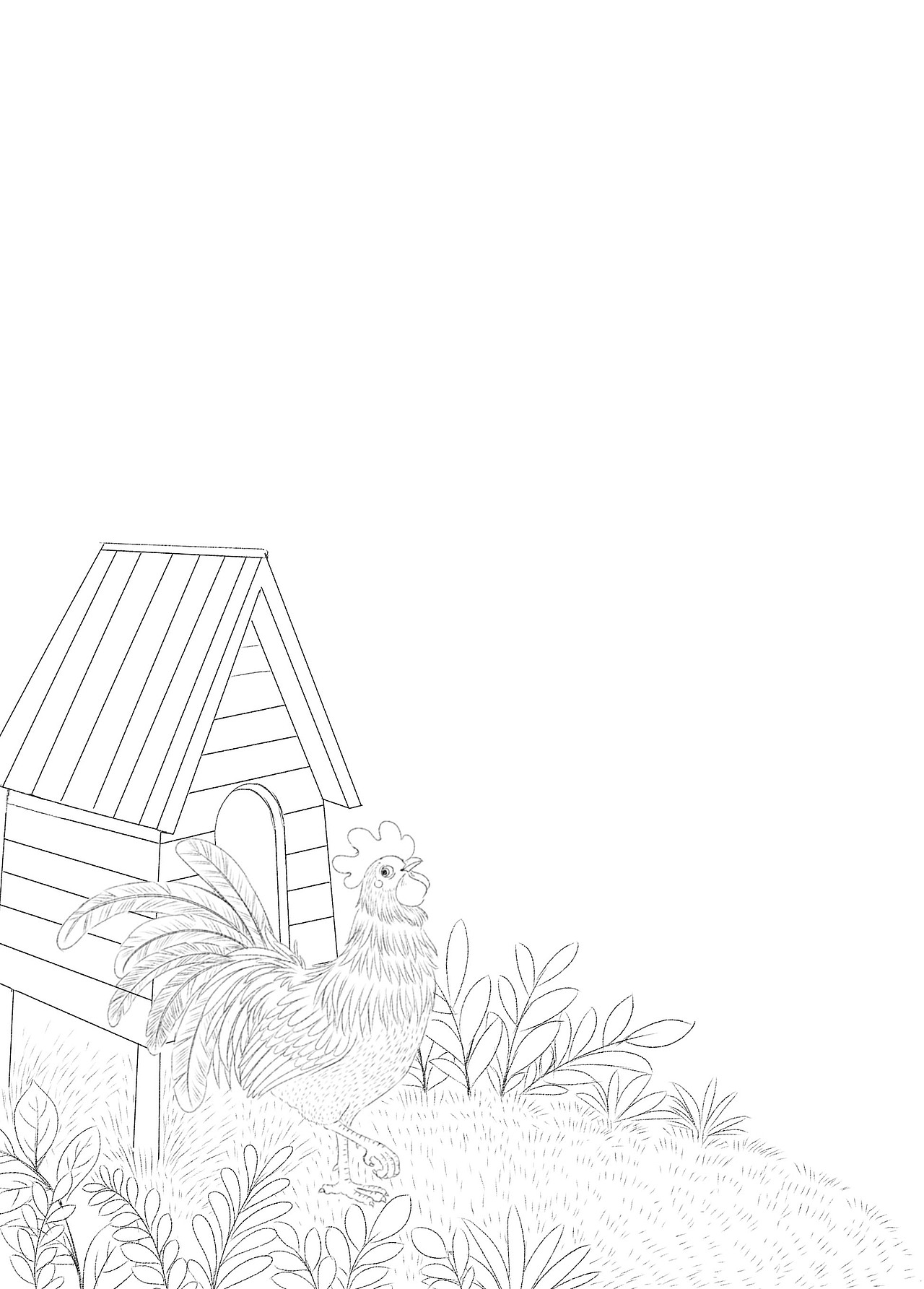 名家故事“彩虹花”桥梁书《失踪的大公鸡》线稿