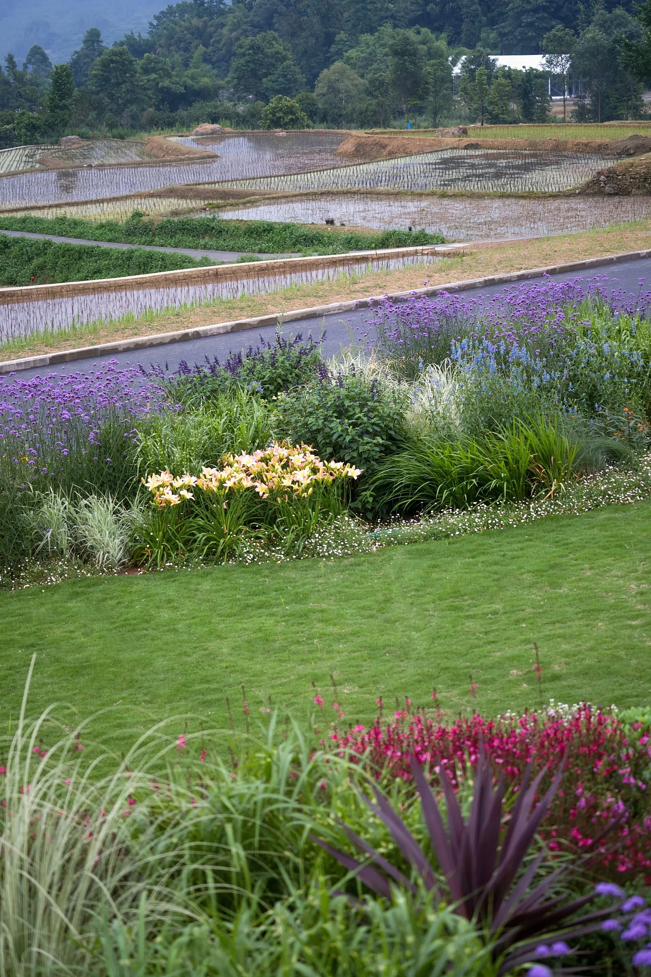 【案例分享】峨眉·高桥小镇