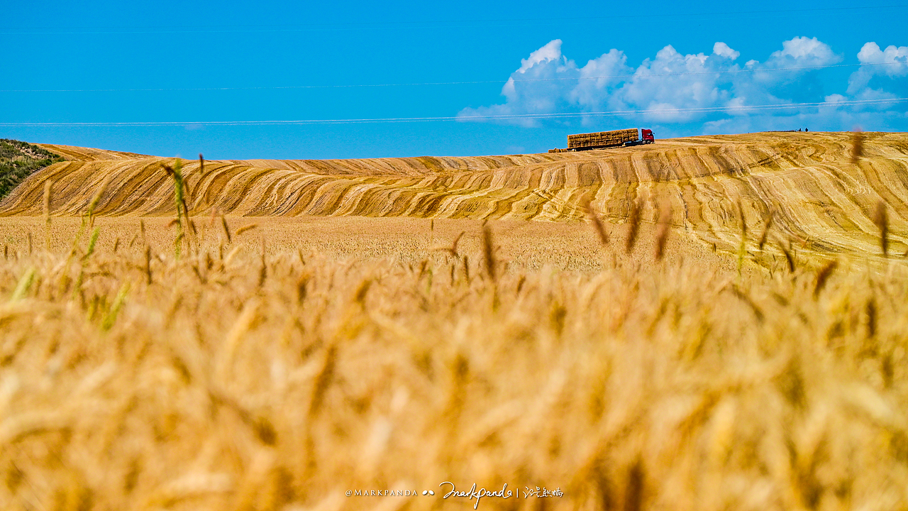 大地色盘-我眼中的新疆