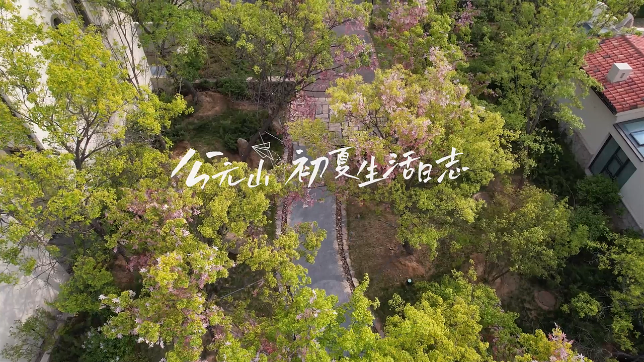 公元山假日露营短片（图ZMzA0ODkzNjcy） - 短片 - 站酷设计师Amning原创素材 - 站酷ZCOOL