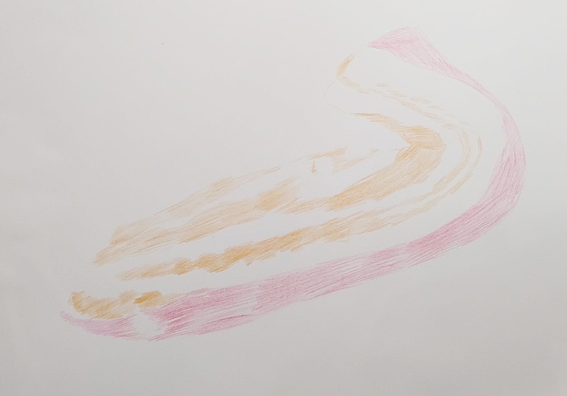 五花肉-彩铅绘画