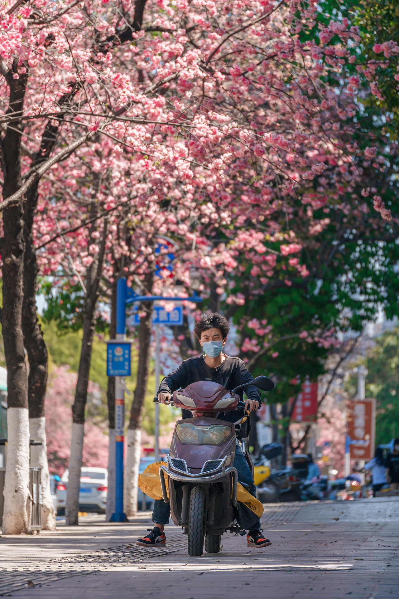 昆明圆通山樱花
