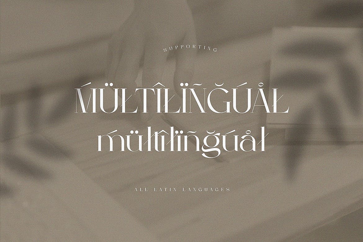 Berfilem - Editorial Display Serif