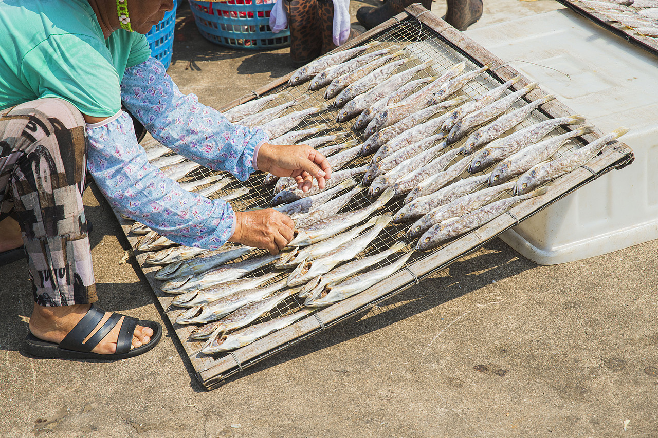 莲花山码头广州风景