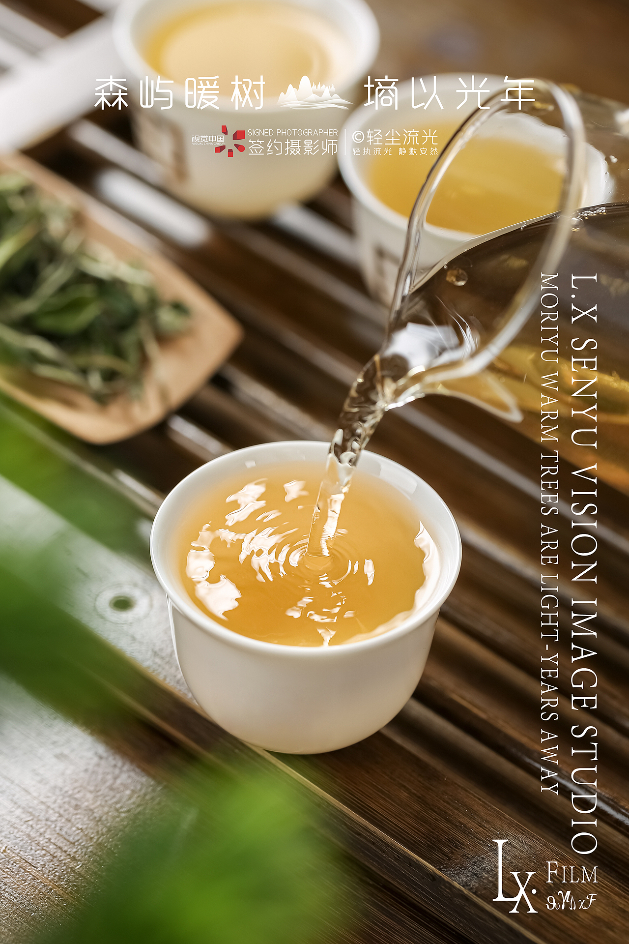 黑乌龙茶 荒野白牡丹茶叶商业摄影