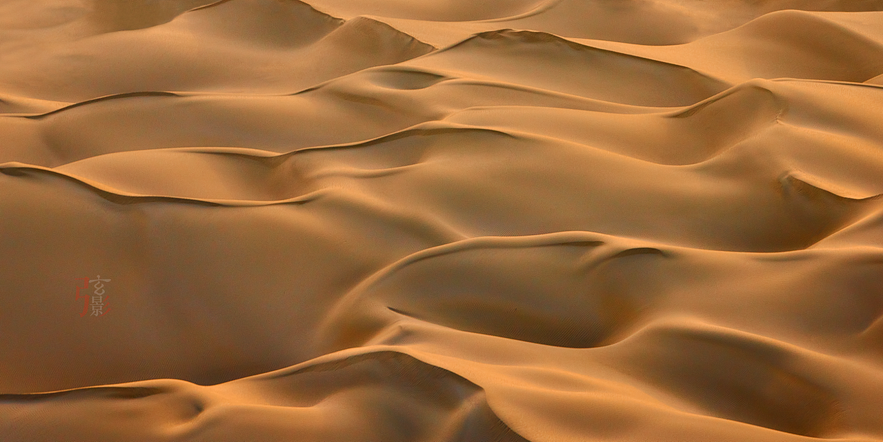 摄影—金色沙漠摄影