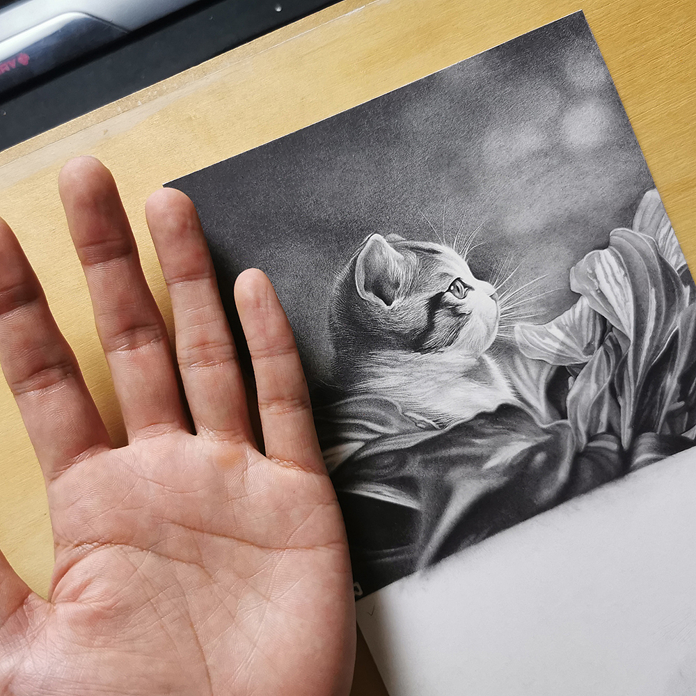 喵星人精微素描合集