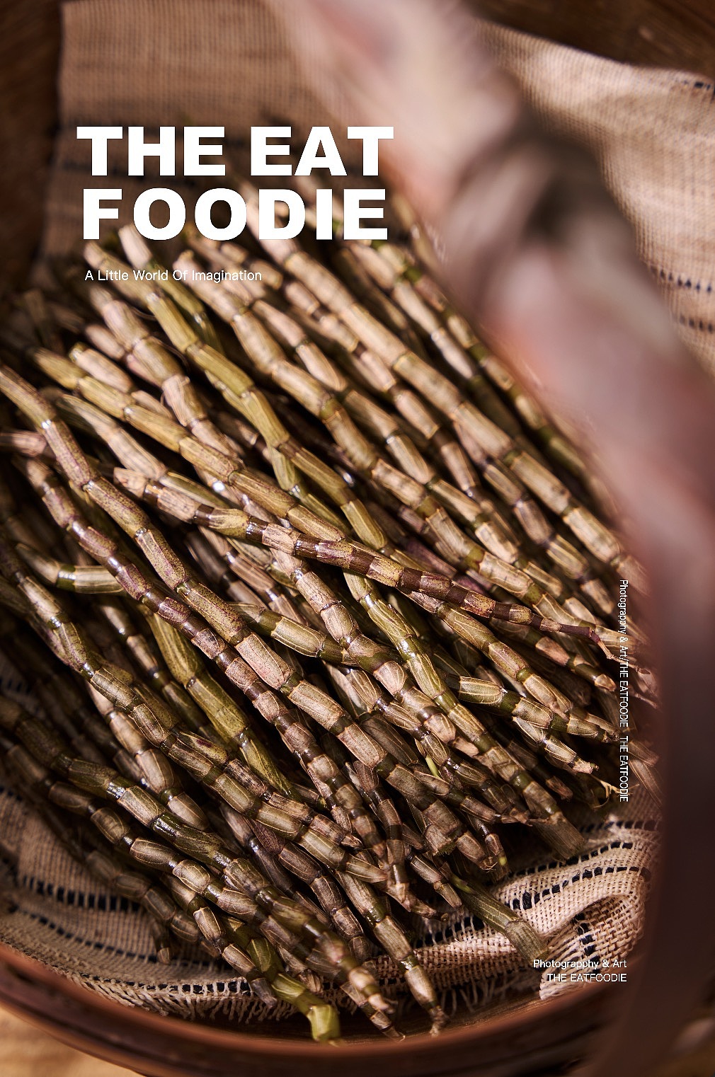 美食摄影|中式糖水|THE EAT FOODIE