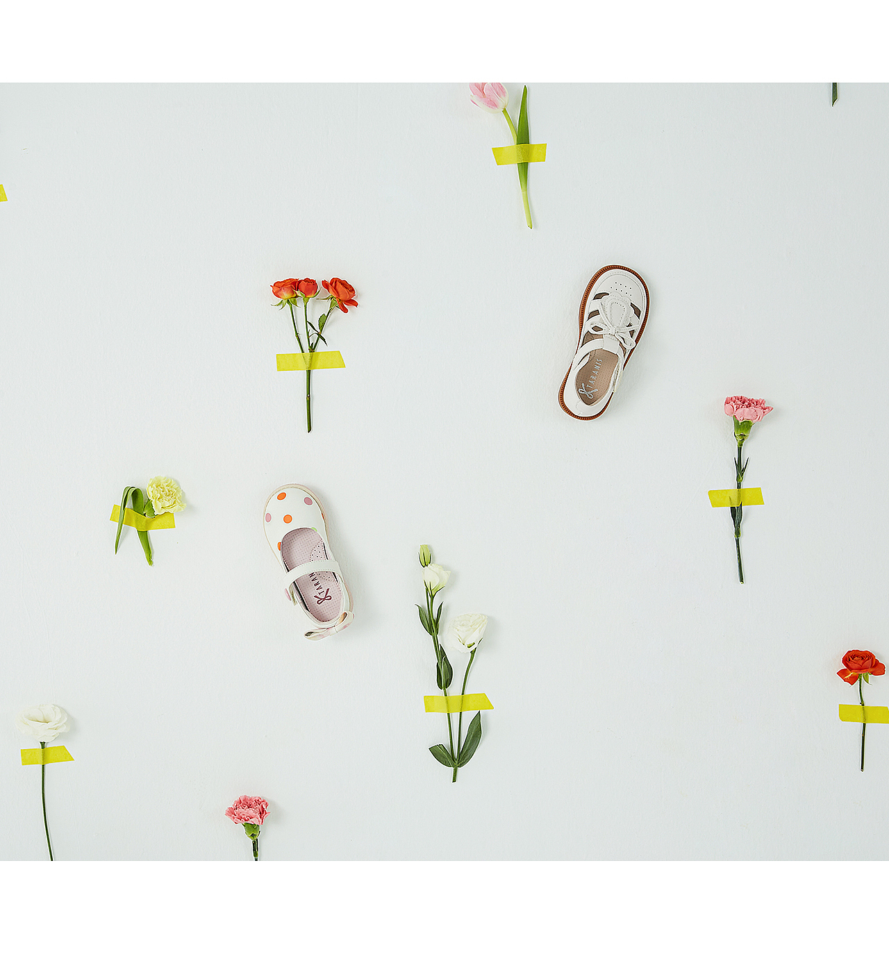 波点视觉X泰兰尼斯23春夏拍摄策略（图ZMzQyOTMzOTAw） - 产品摄影 - 站酷设计师POP波点视觉原创素材 - 站酷ZCOOL