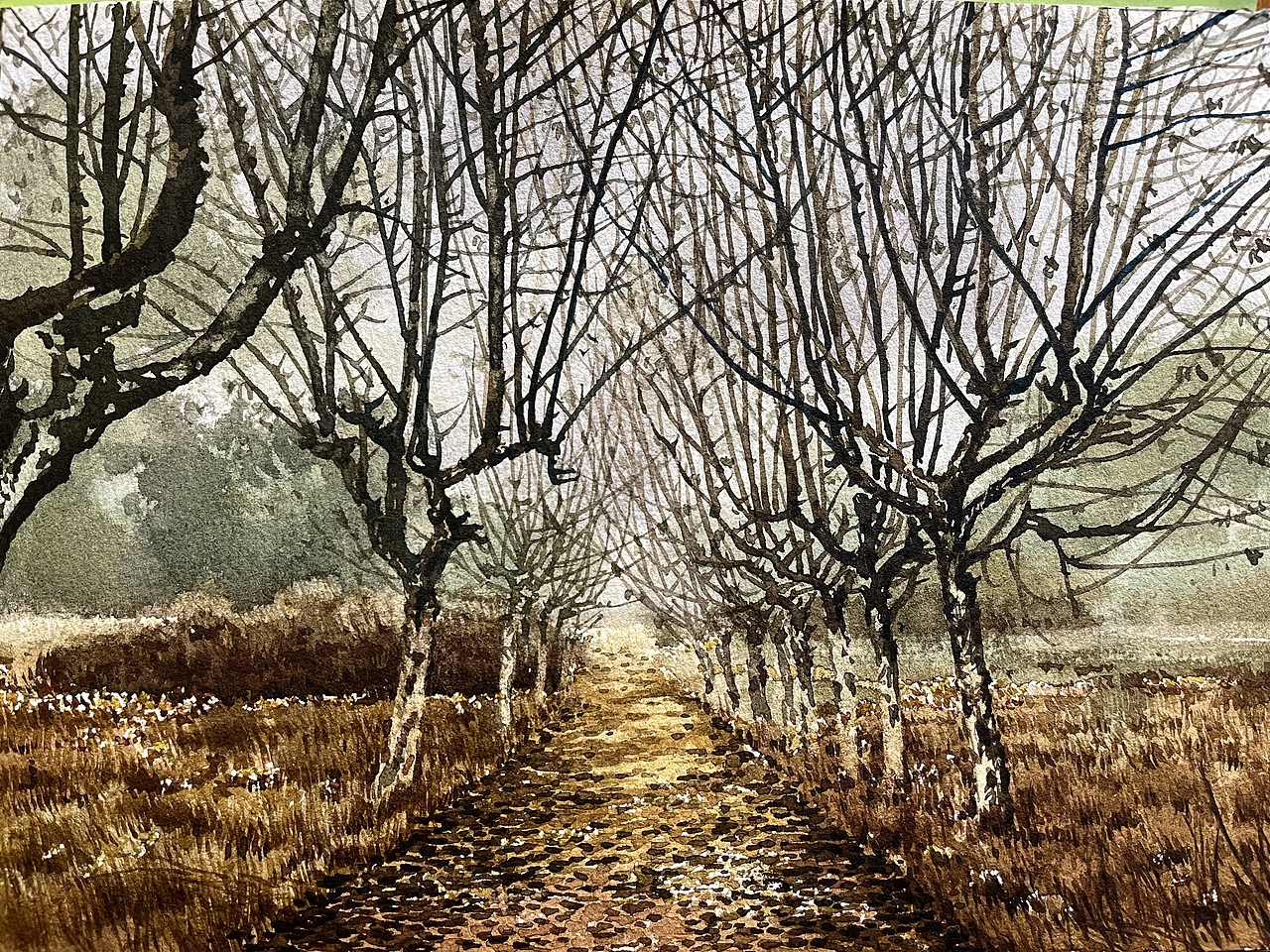 2022——水彩作品集(总结)