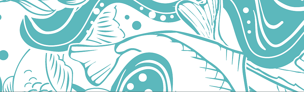 野生鱼肉酱包装/礼盒