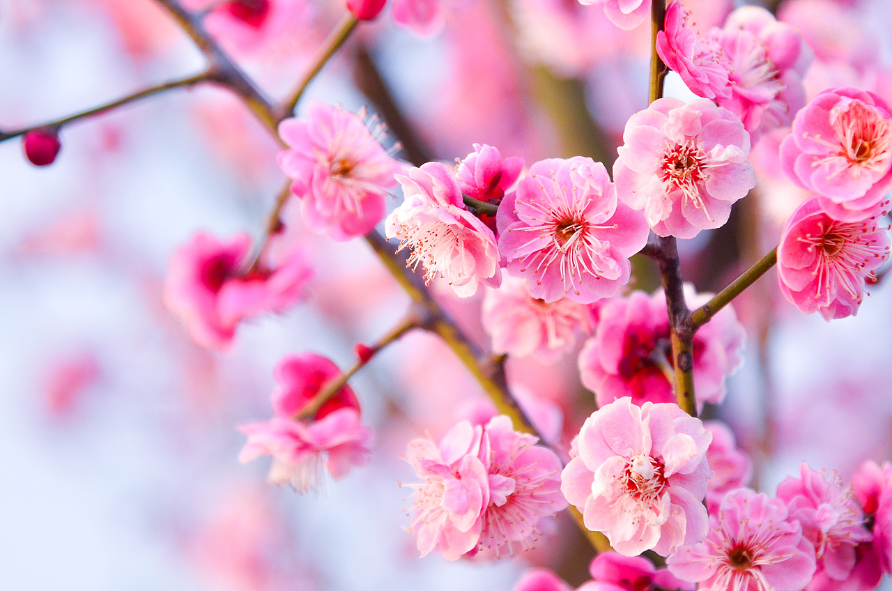 陕西汉中 天汉湿地公园（图ZMzU2MjE5MTk2） - 风光摄影 - 站酷设计师瓢酒慰风尘原创素材 - 站酷ZCOOL