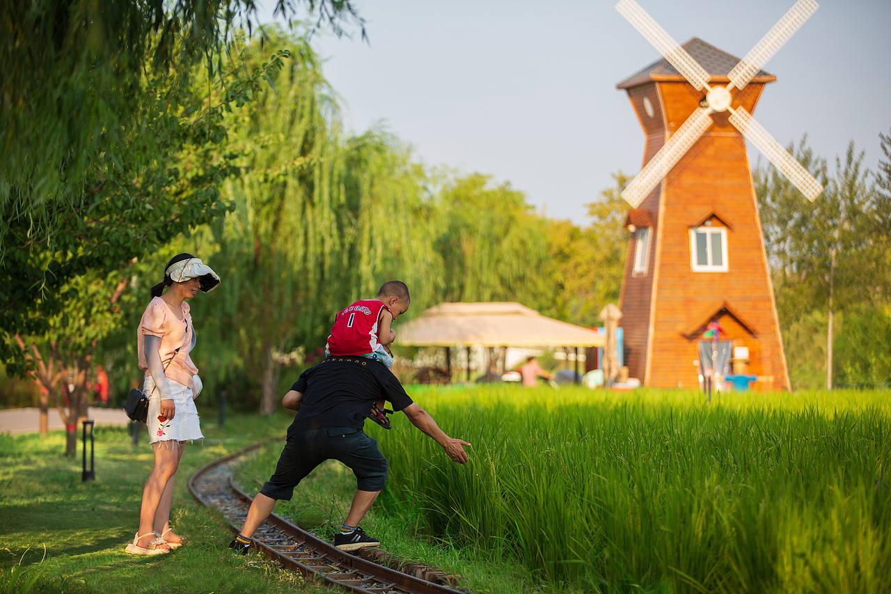 西安市长安公园稻香园 | 景观摄影