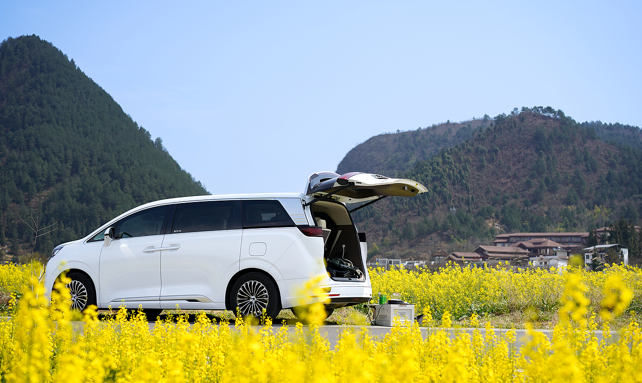 阳光恰好油菜花与腾势D9碰撞相遇(贵定金海雪山)