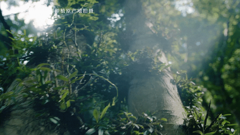 TVC视频丨美妆 植然方适咻敏缓修面霜 产品TVC⤬乐趣