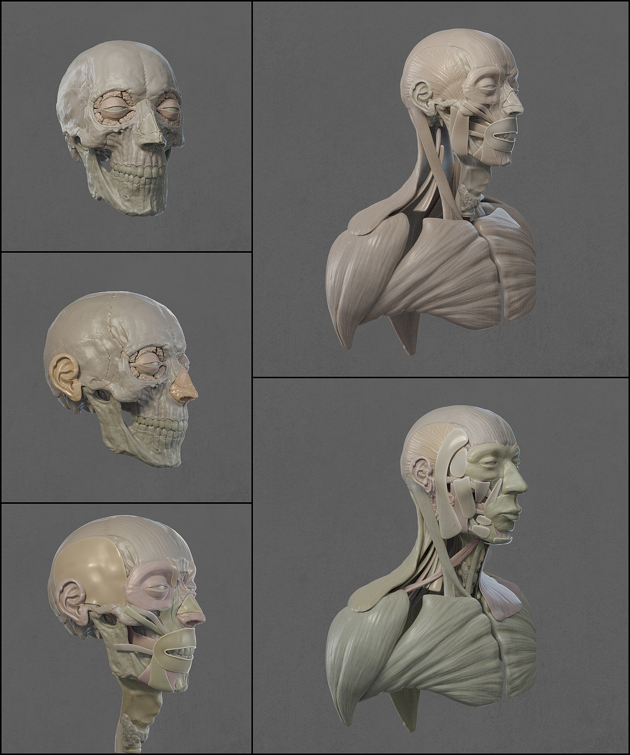 blenderl练习-jane doe vol.