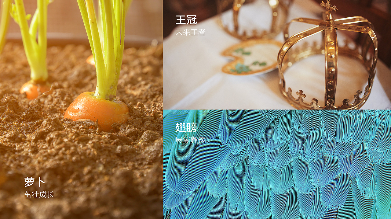 小萝卜教育品牌LOGO设计 | VI设计（图ZMzI1MDk2ODQ4） - 品牌 - 站酷设计师DONG東東原创素材 - 站酷ZCOOL