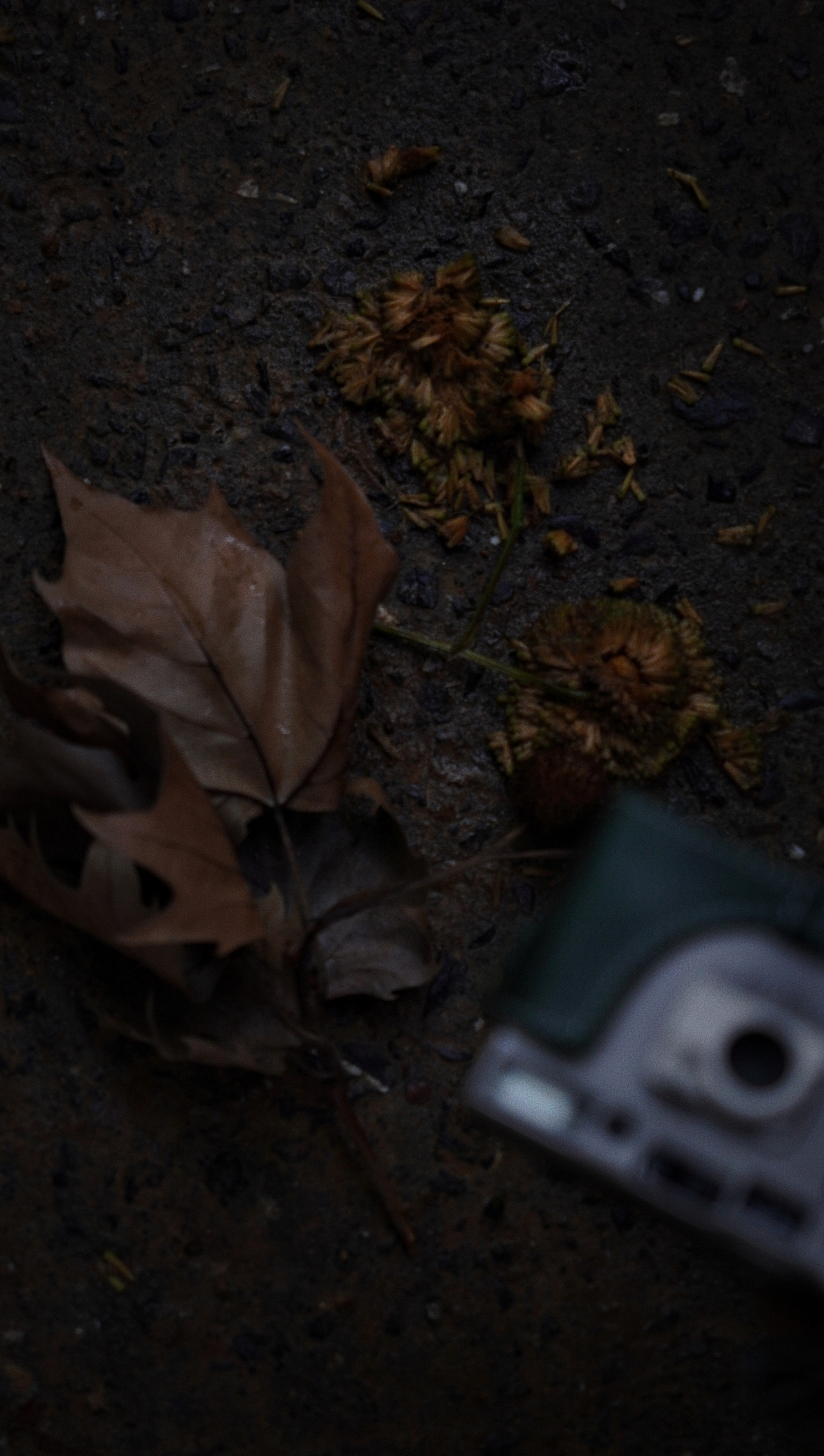 武汉旅拍（图ZMzQ5ODY3MjI4） - 人文/纪实摄影 - 站酷设计师板栗制片原创素材 - 站酷ZCOOL