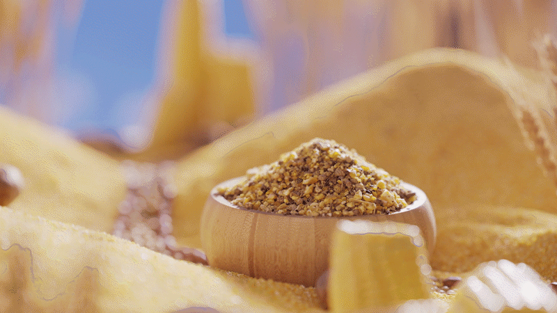 德州扒鸡-生态养殖篇