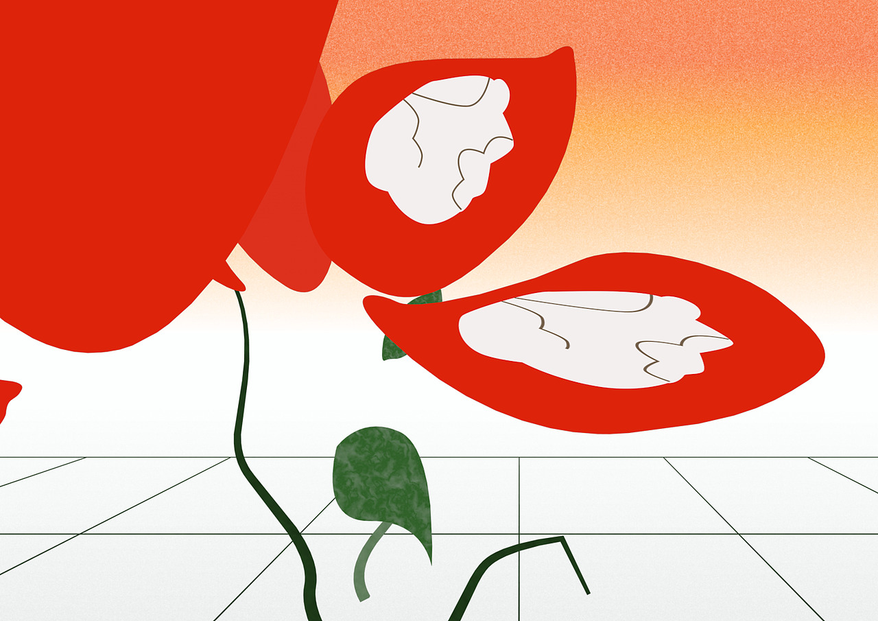 视传毕设|实验动画【生生不息】