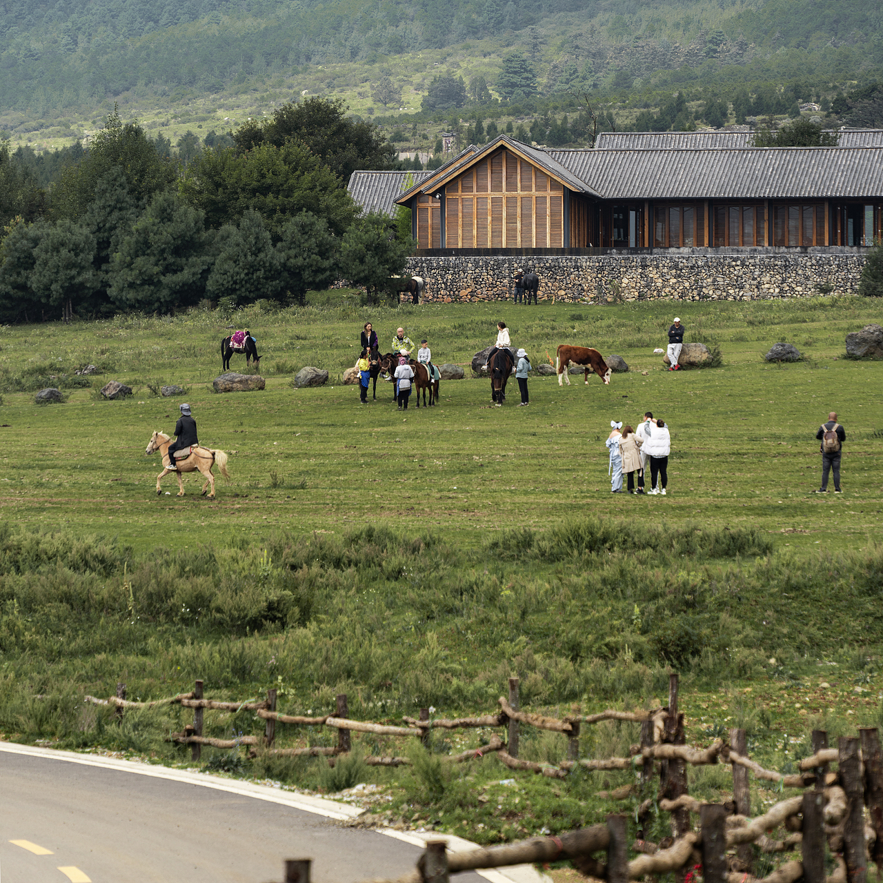 玉龙雪山脚下 玉湖村 因游客众多 感官一般 临时起意去文海