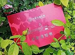 河北传媒学院（图ZMzExMTExMjY0） - 商业插画 - 站酷设计师羽飞Fly原创素材 - 站酷ZCOOL