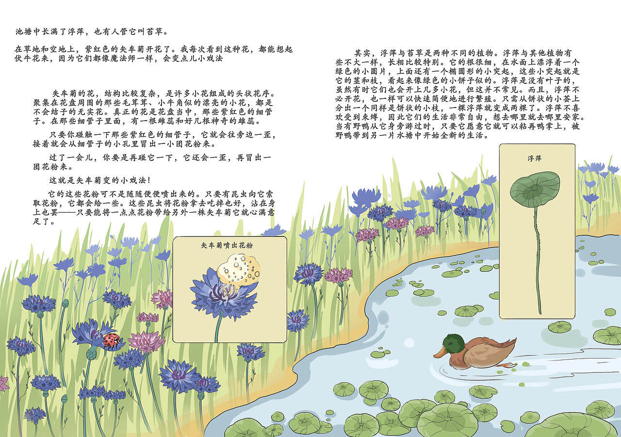 科普绘本（图ZMzU3NDgwNjgw） - 商业插画 - 站酷设计师黑巧蛋挞原创素材 - 站酷ZCOOL
