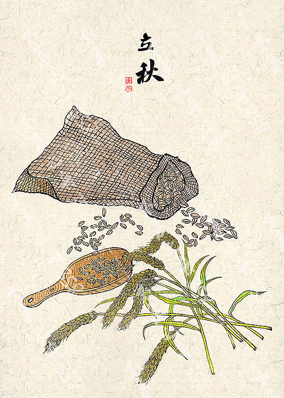 二十四节气--秋季篇（图ZMzAwMDU4MDAw） - 商业插画 - 站酷设计师夜不白358原创素材 - 站酷ZCOOL
