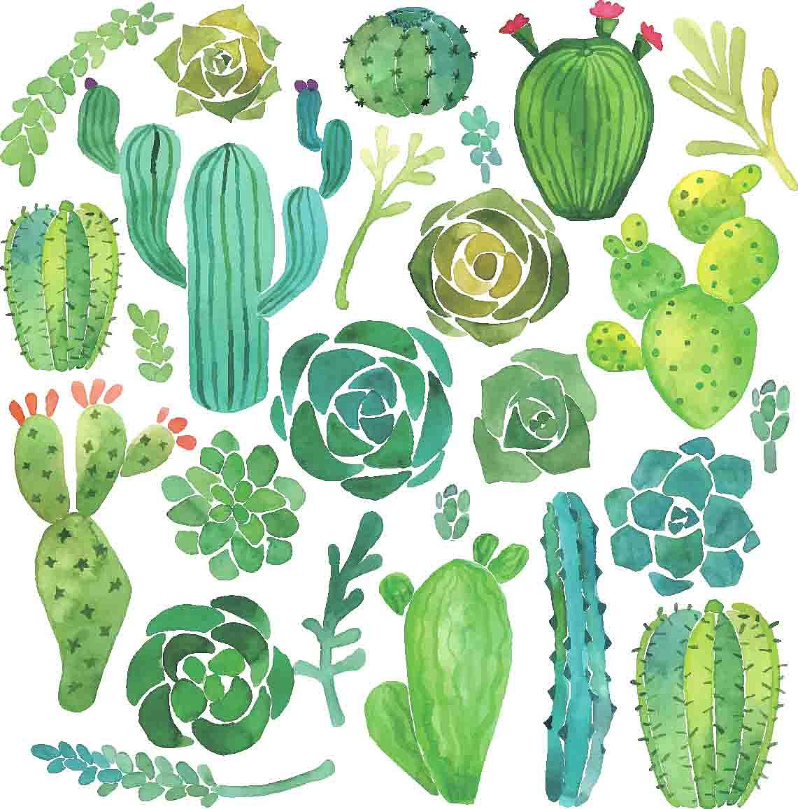 手绘水彩植物矢量图插画热带风情