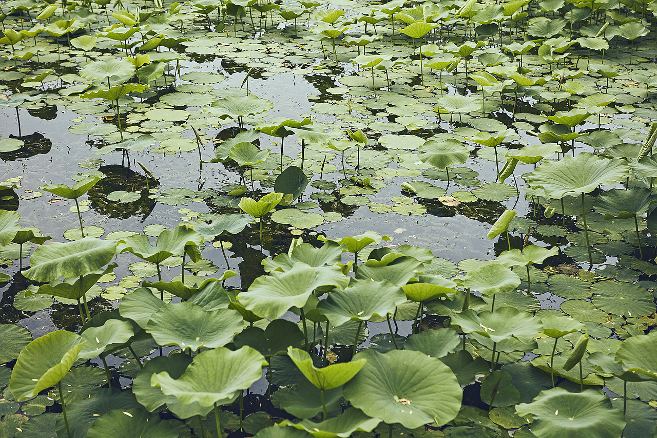 拜托你亲爱的朋友啊，请你一定要笑，一定要比出耶！