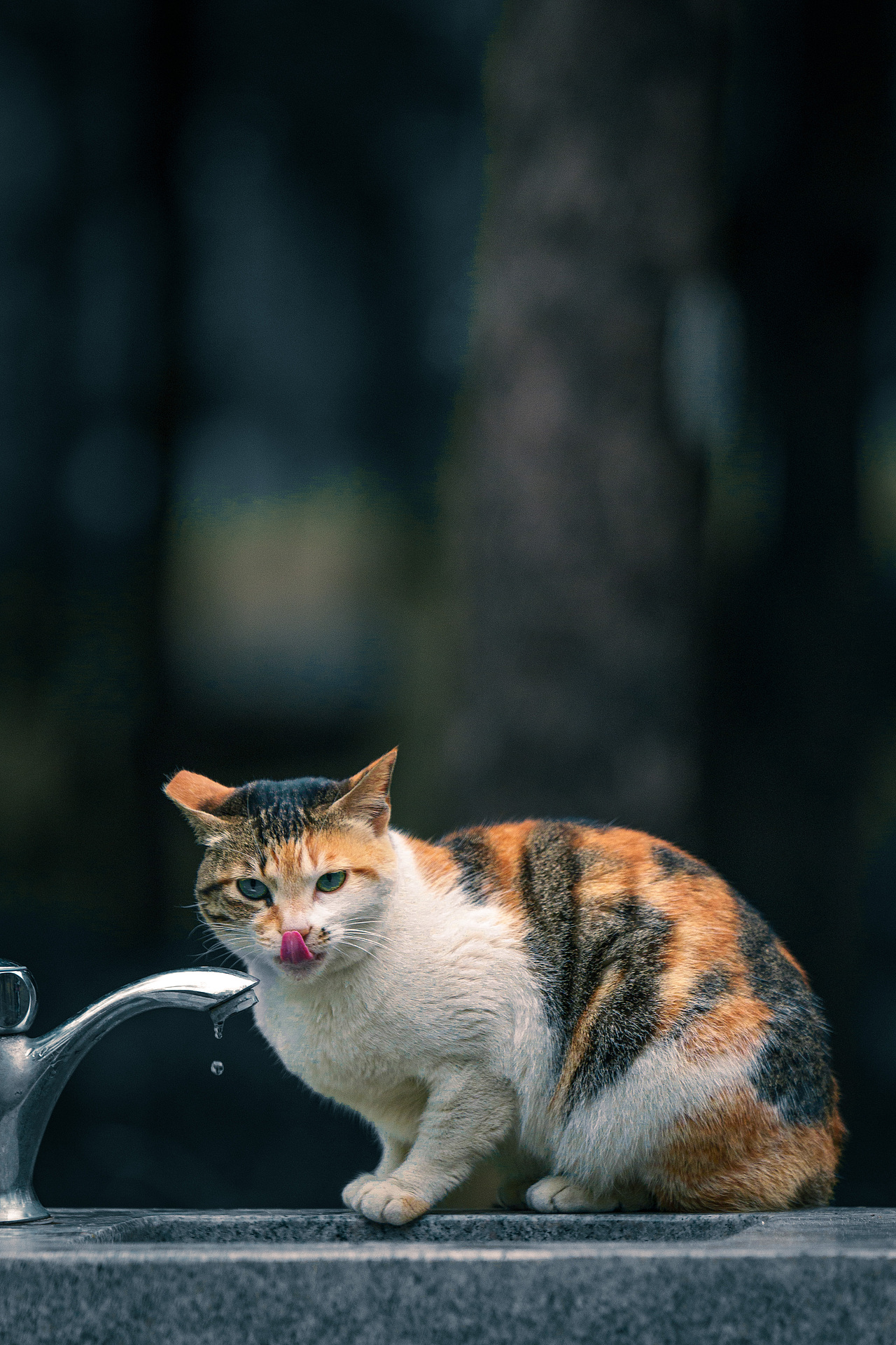 炎炎夏日,总有好心人给“我”开的水龙头