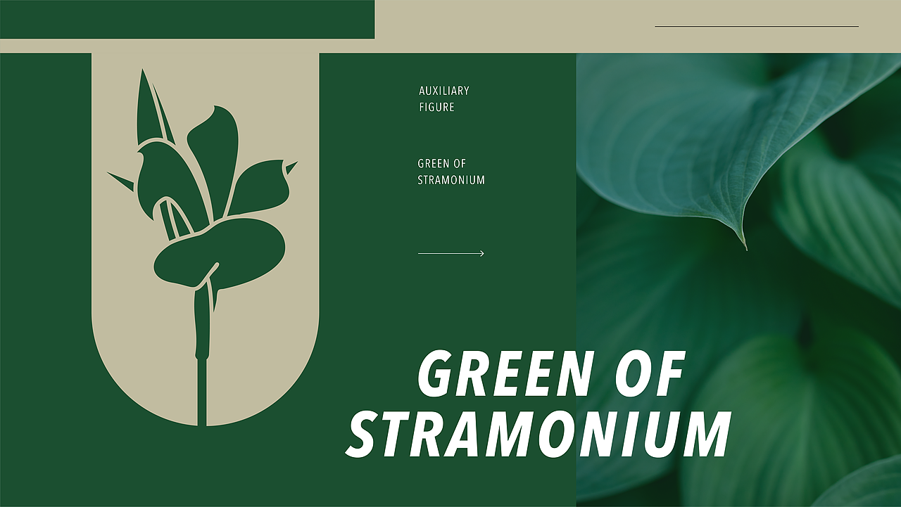 STRAMONIUM品牌全案×栗子 | 夏风吹纤叶，高雅念醉人（图ZMzExNjg0NzI4） - 品牌 - 站酷设计师糖炒栗栗子lizi原创素材 - 站酷ZCOOL