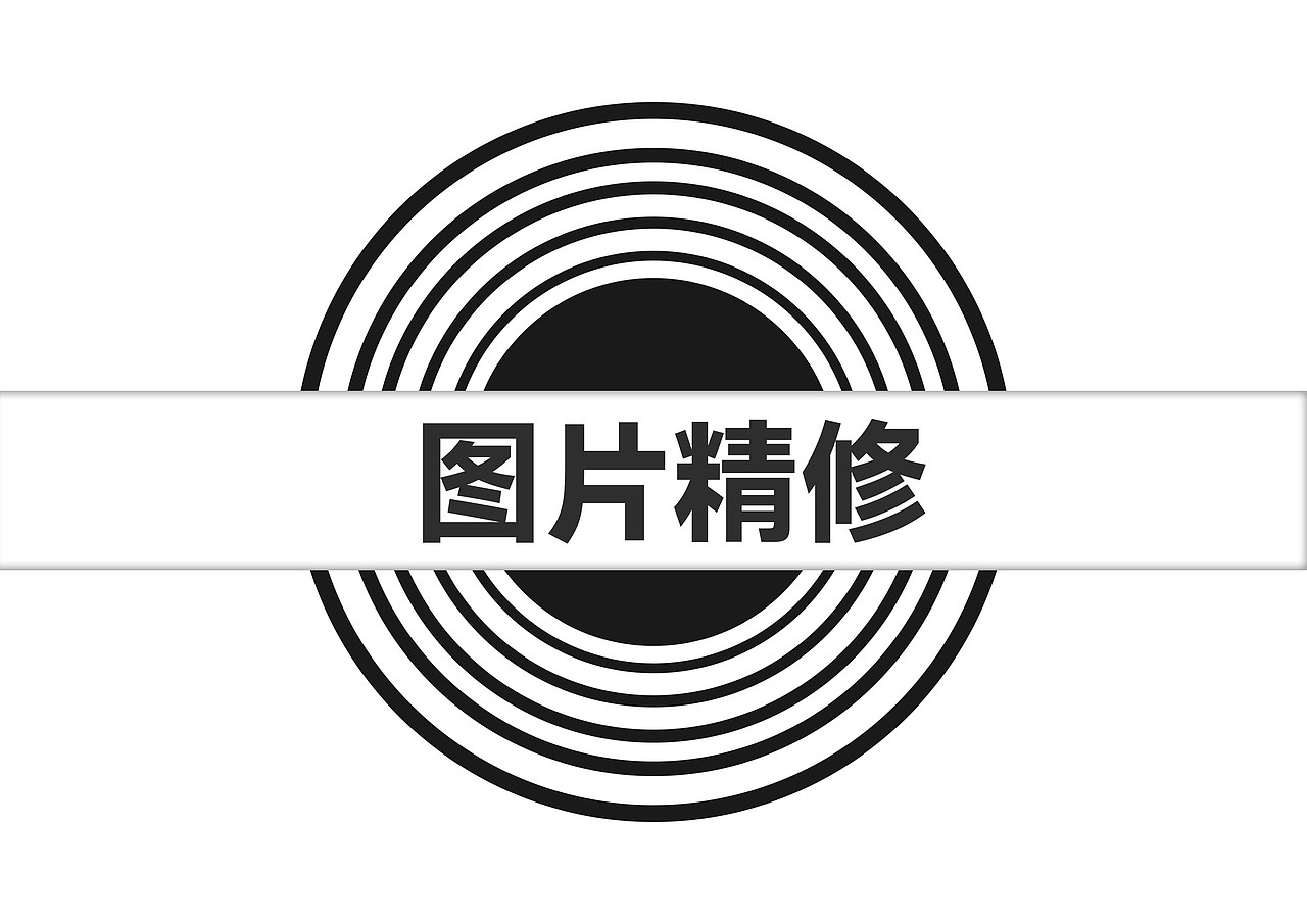 作品集  宠物   VIS   电商设计