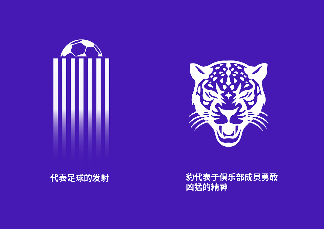 新和县代表足球俱乐部标志设计