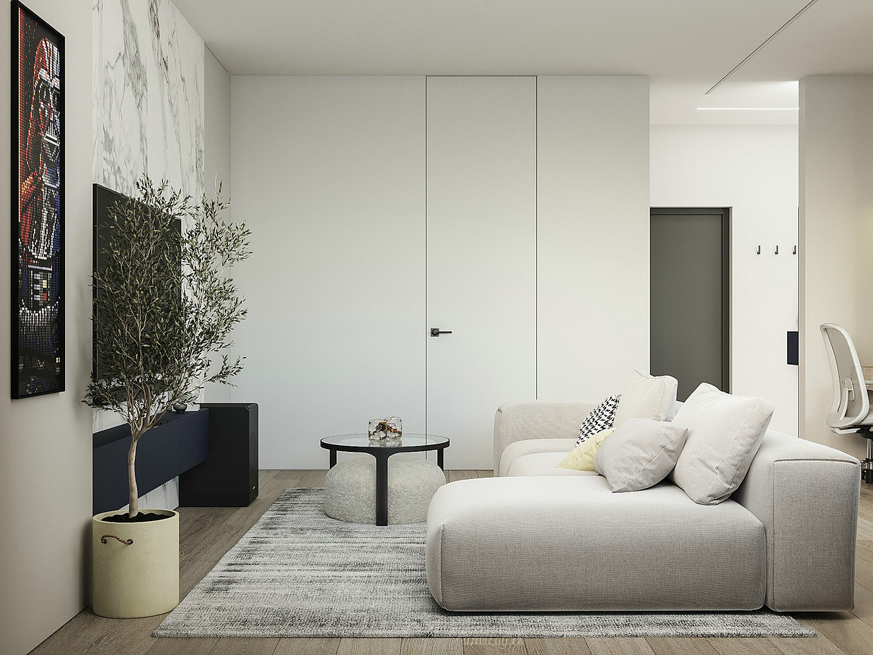 平层公寓案例分享