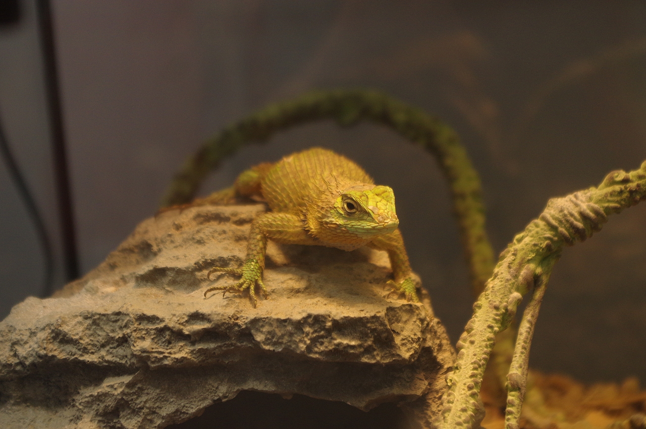 瞅啥呢？（圖ZMzUxOTE0NzIw） - 風(fēng)光攝影 - 站酷設(shè)計(jì)師閑貓炸薯?xiàng)l原創(chuàng)素材 - 站酷ZCOOL