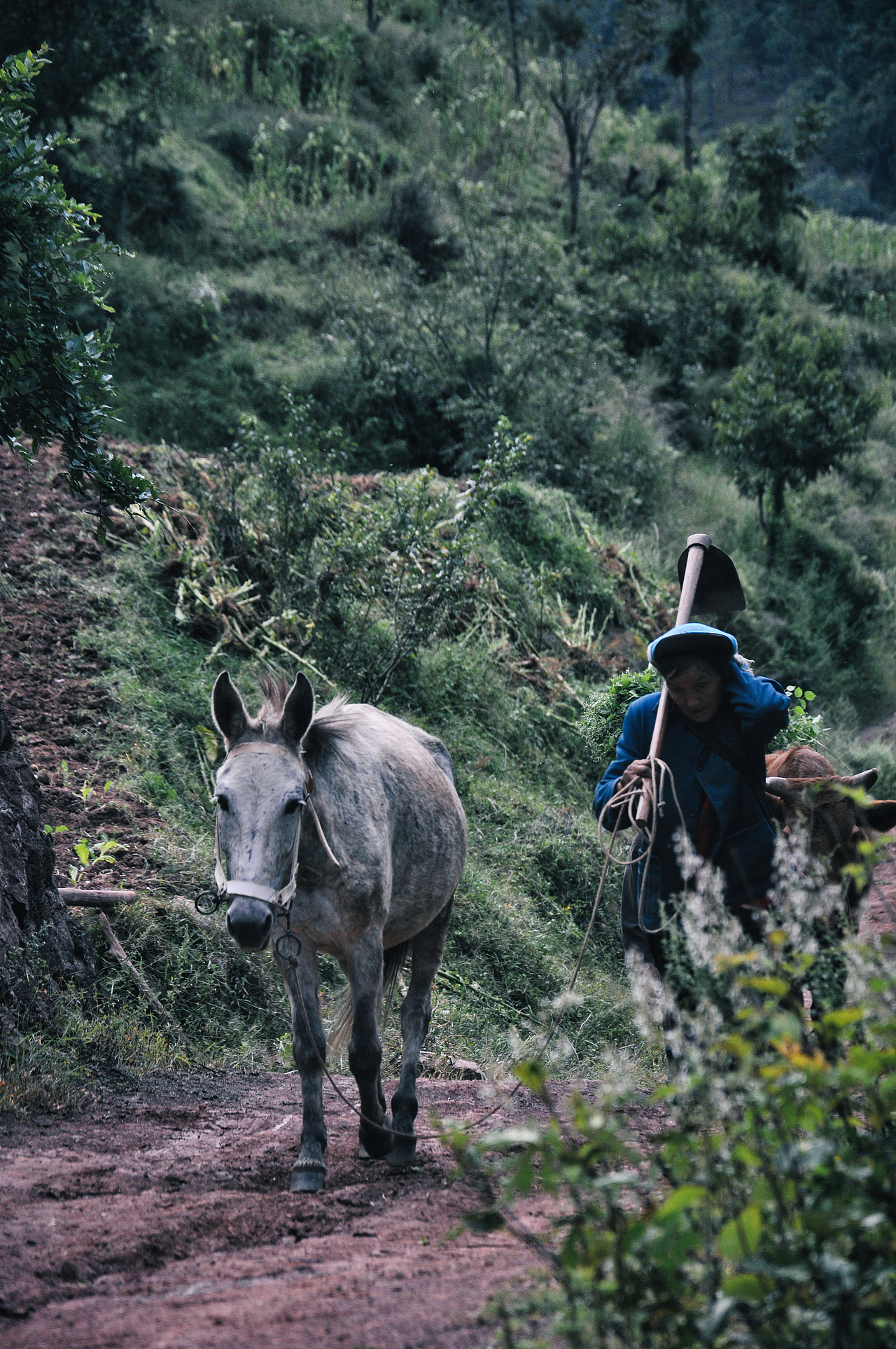 2013年国庆回家村子里（一）（图ZMzU2ODEzODg0） - 人文/纪实摄影 - 站酷设计师焦虑到掉头发原创素材 - 站酷ZCOOL