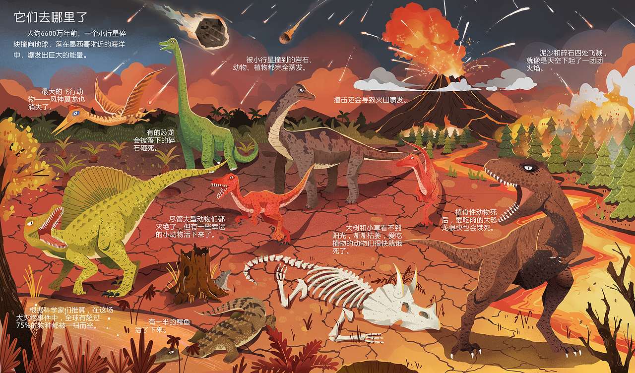 《揭秘恐龙》翻翻书