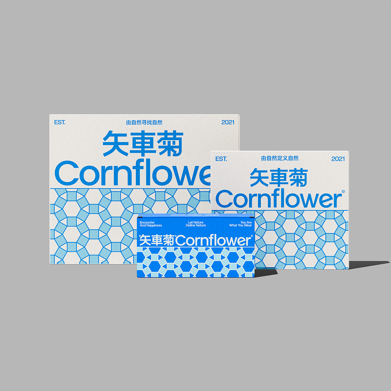 矢車菊Cornflower-由自然定义自然