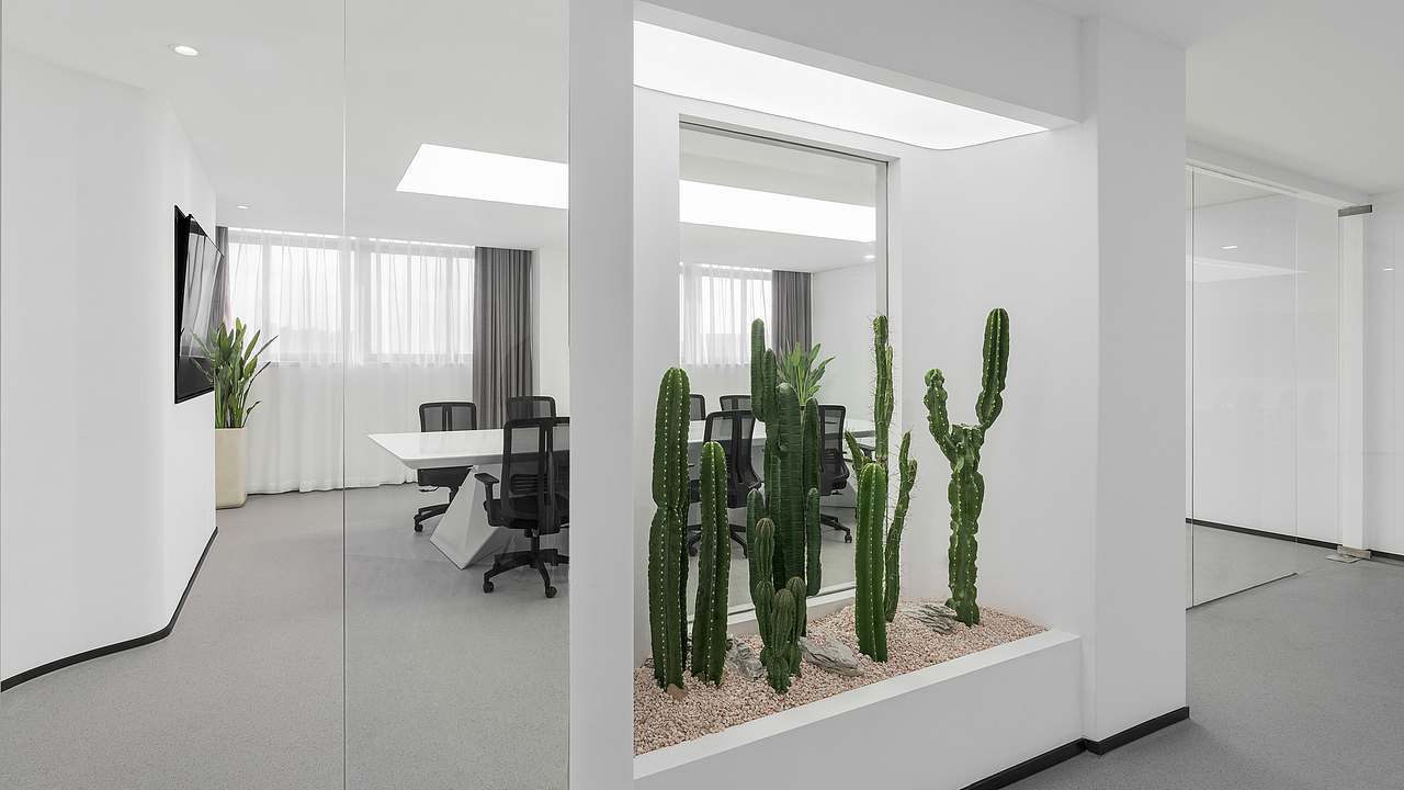 柒米设计 | 白泽细胞