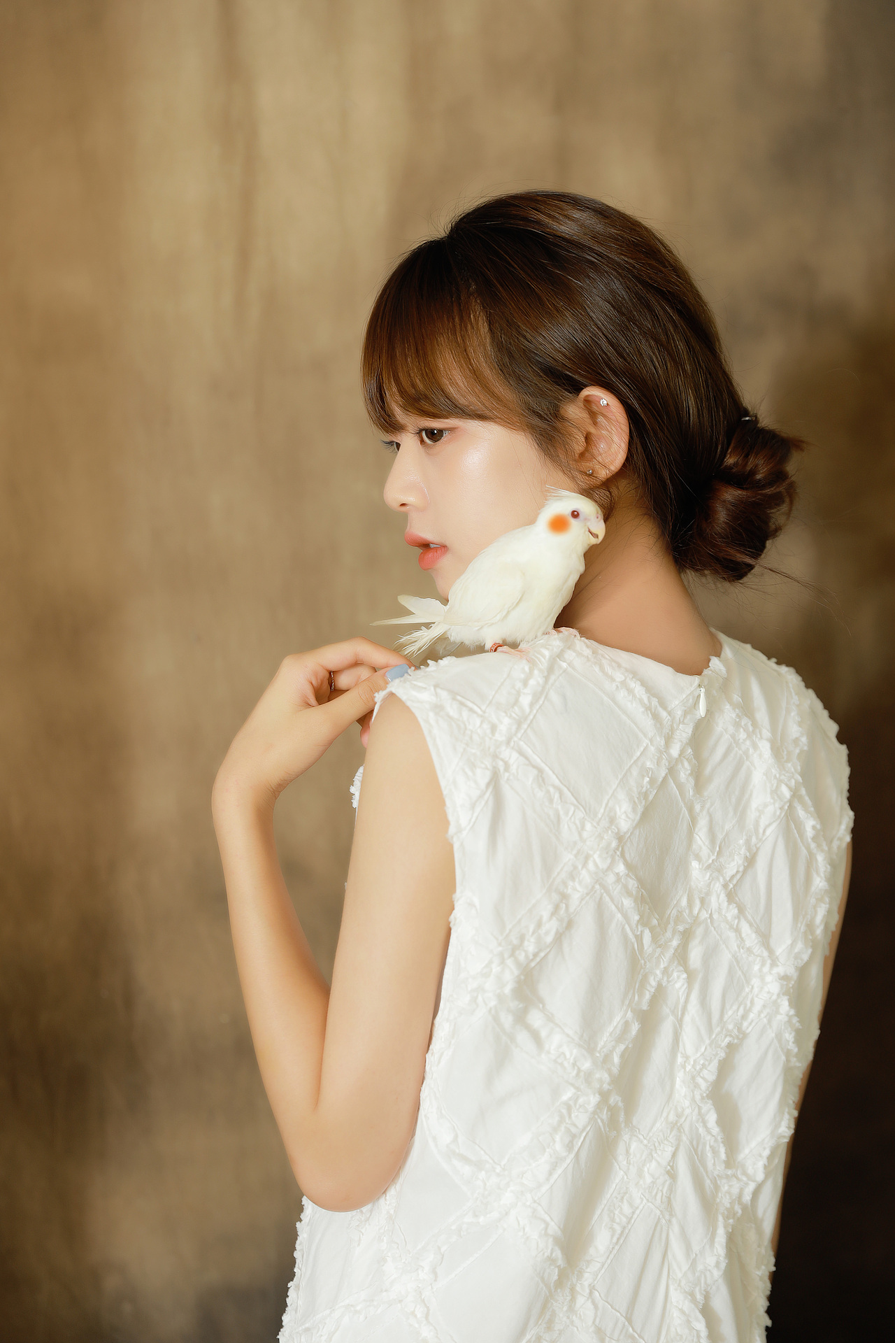 复古少女VS白子玄凤