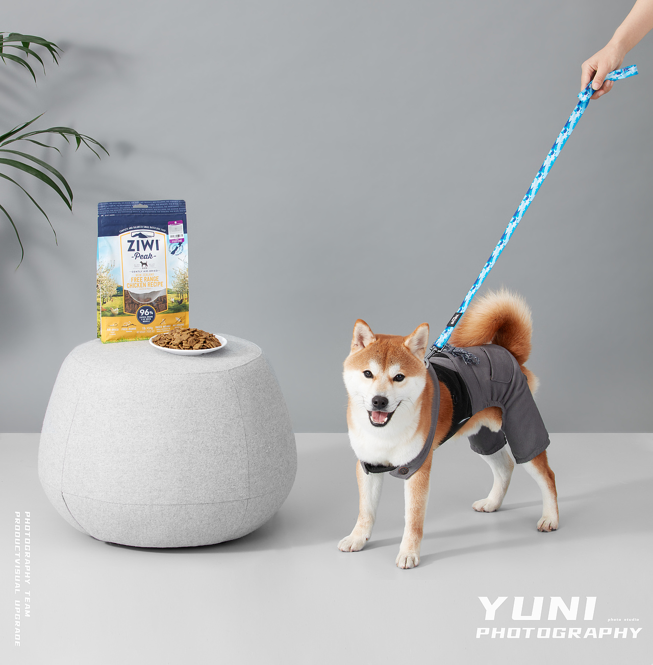 天猫.猫享自营 ✖ YuNi  宠物频道合集