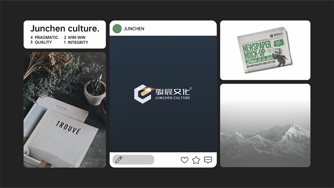 【骏宸文化】企业品牌-LOGO-VI设计