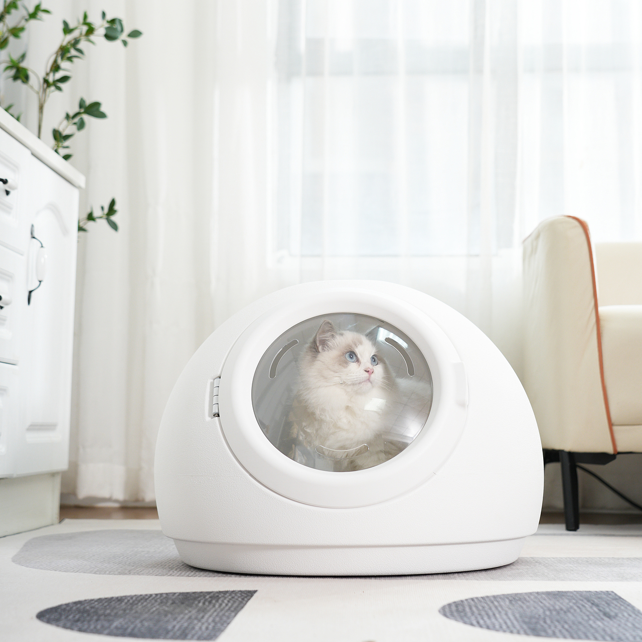 电器产品摄影宠物吹毛机主图视频拍摄亚马逊详情设计产