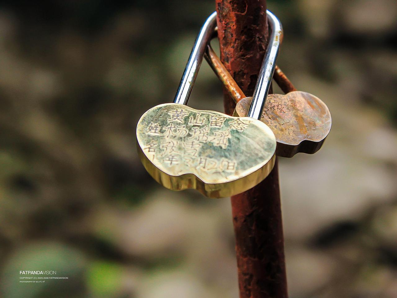 [旅行] 黄山翡翠谷(情人谷)，《卧虎藏龙》取景地