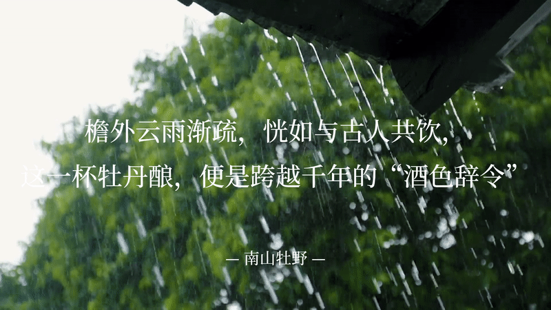 果酒包装设计丨牡丹酿果酒三维渲染丨果酒品牌视觉设计